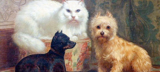 Pet portrait